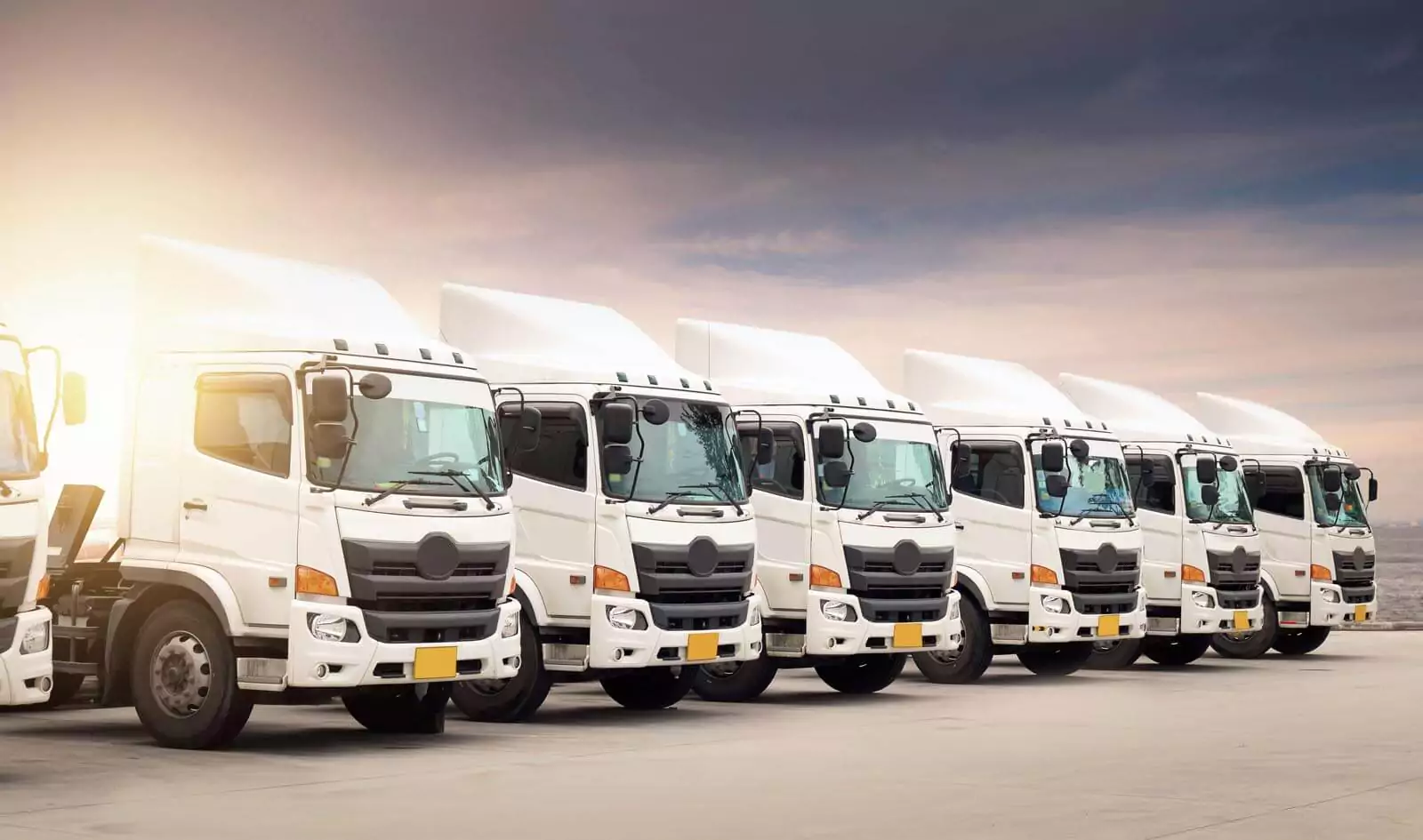 Dedike Araç Hizmeti