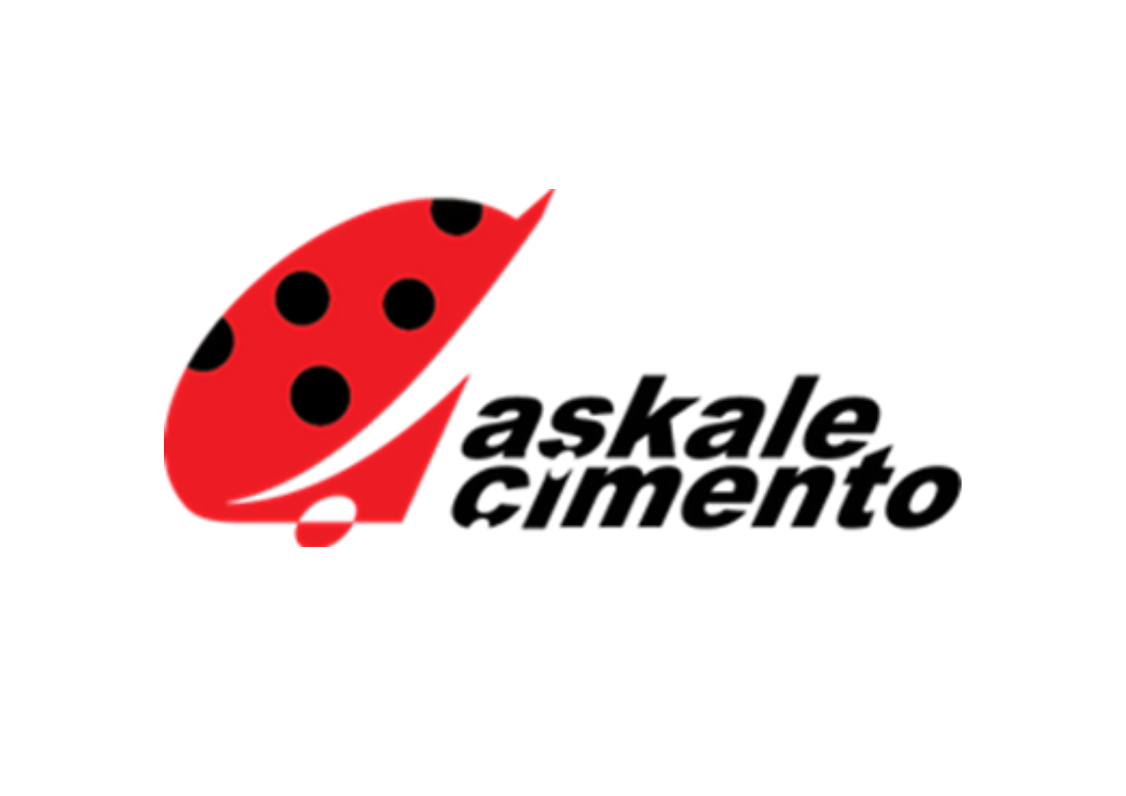 Aşkale Çimento