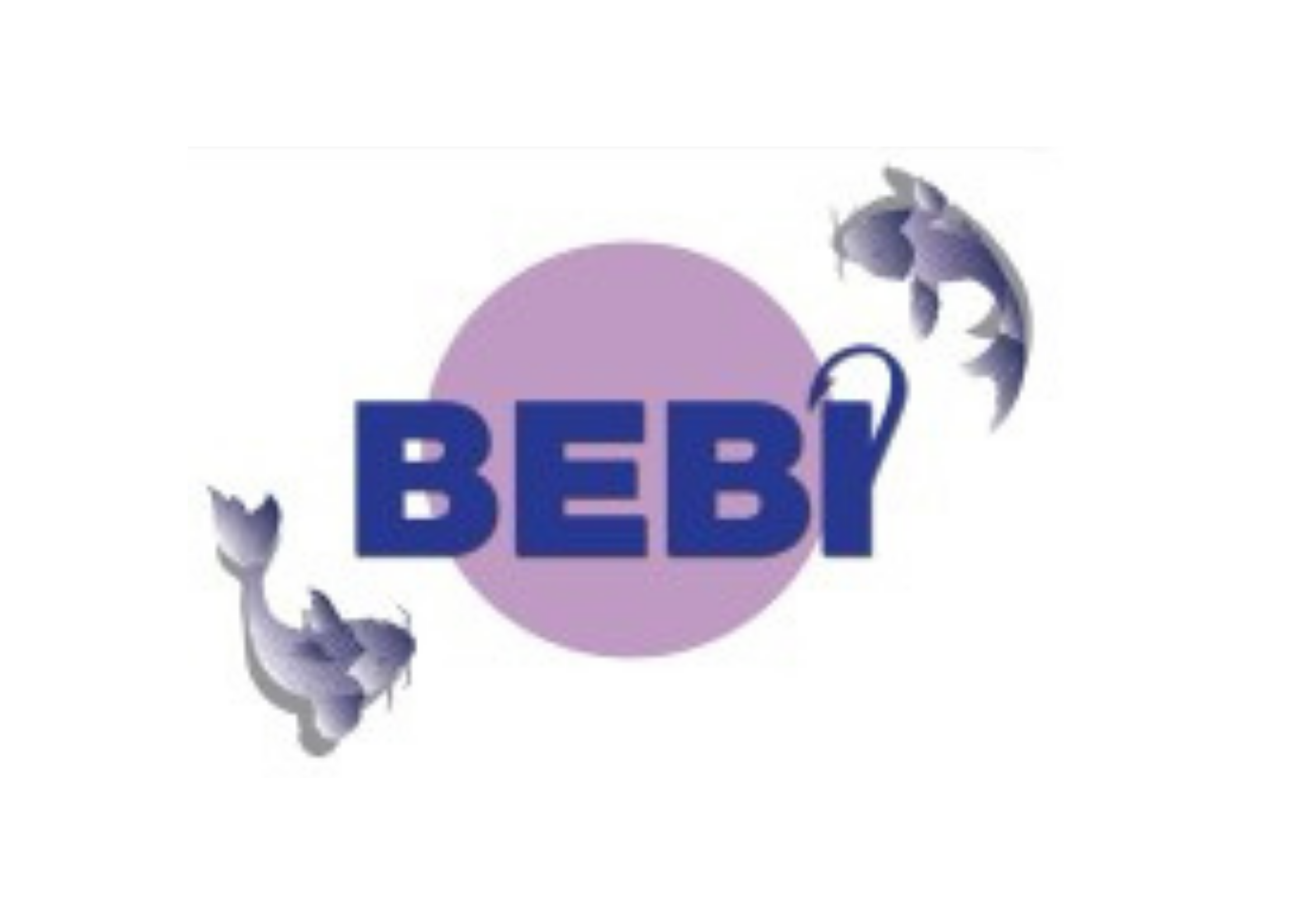 Bebi Dış Ticaret